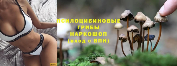 Альфа ПВП Михайлов