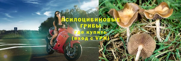 Альфа ПВП Михайлов