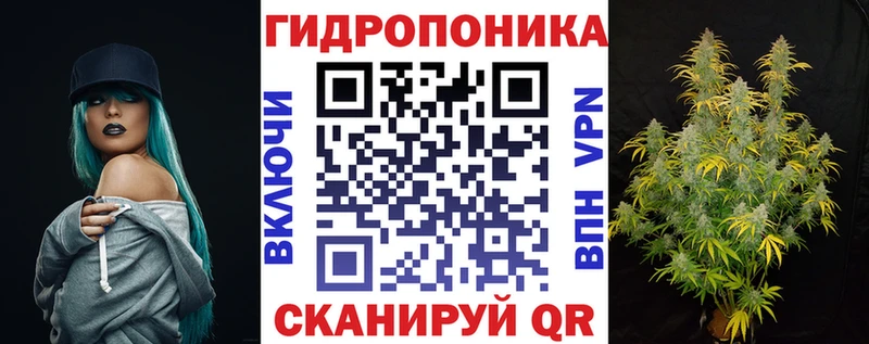 Марихуана конопля  блэк спрут   Курск 